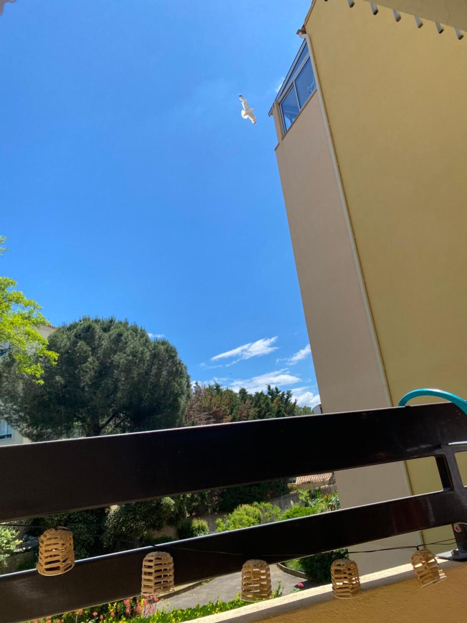 Studio Cabine,4 Personnes ,Renove,Au Calme,200 M De La Plage,Parking Prive Sète Exterior foto